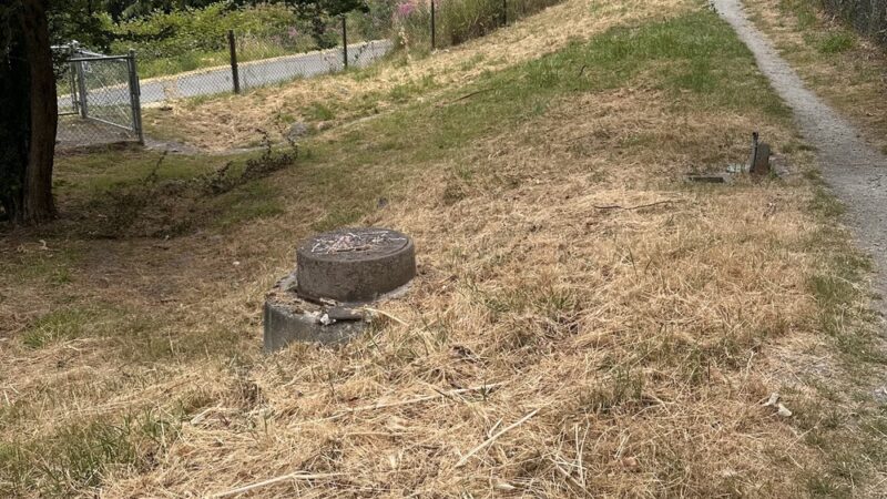 Dog Off Leash Area - Seattle, WA