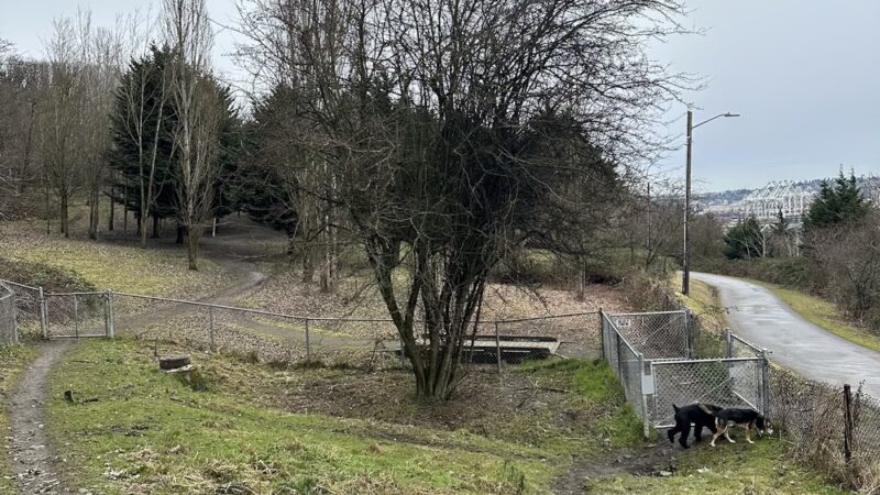 Dog Off Leash Area - Seattle, WA