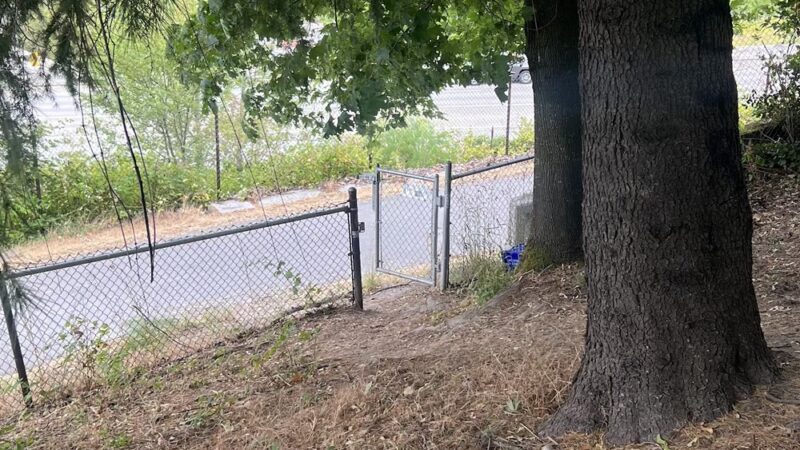 Dog Off Leash Area - Seattle, WA