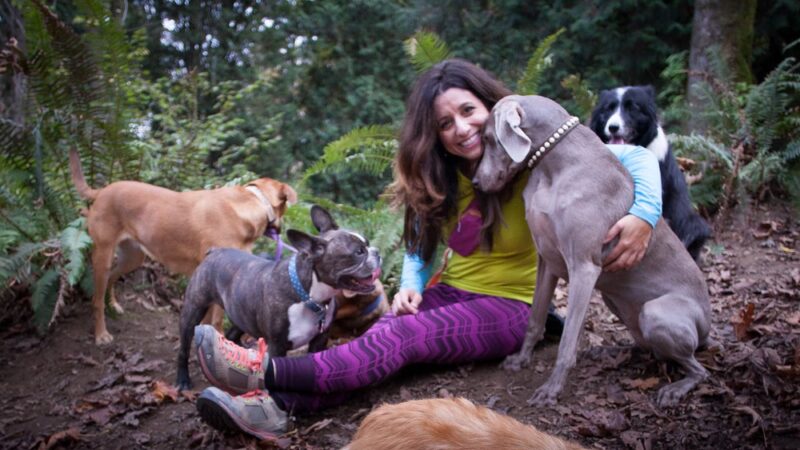 Dog Trots - Seattle, WA