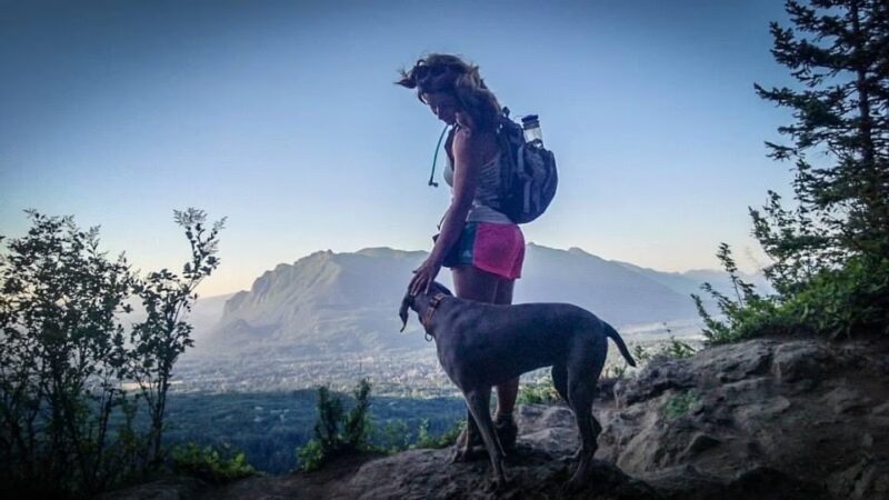 Dog Trots - Seattle, WA