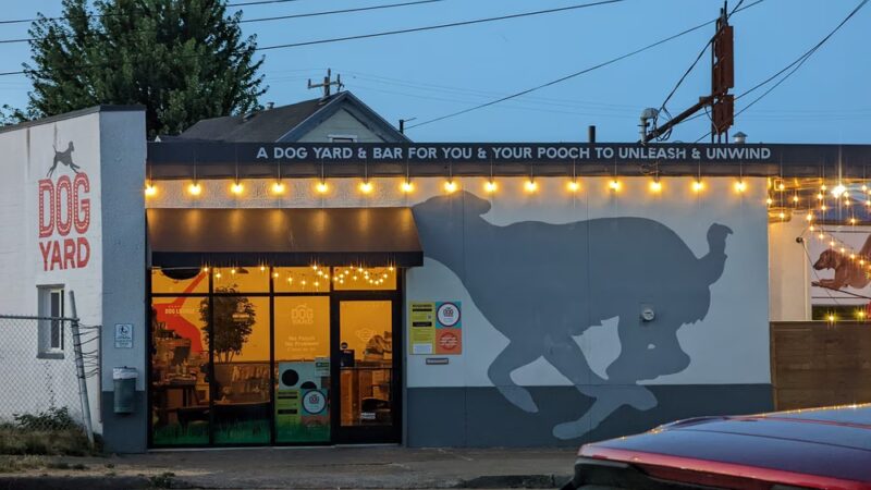 Dog Yard Bar - Seattle, WA