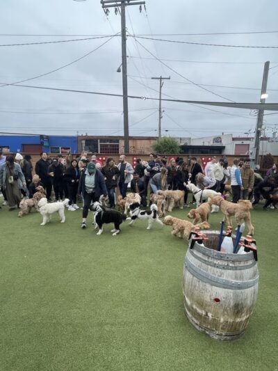 Dog Yard Bar - Seattle, WA