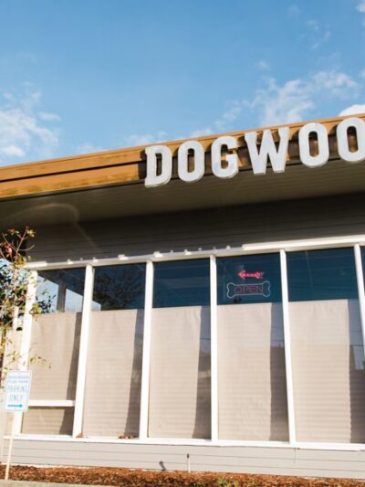 Dogwood Play Park - Seattle, WA