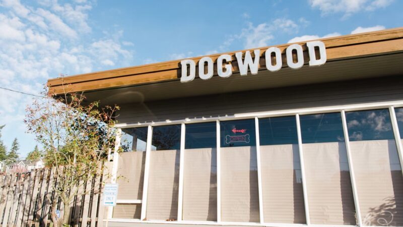 Dogwood Play Park - Seattle, WA