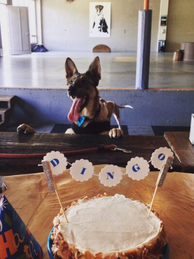 Dogwood Play Park - Seattle, WA