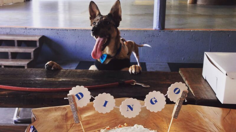 Dogwood Play Park - Seattle, WA