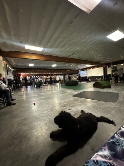 Dogwood Play Park - Seattle, WA