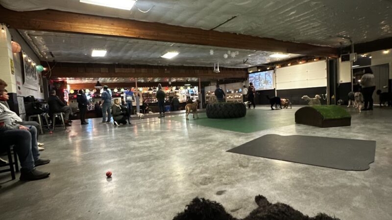 Dogwood Play Park - Seattle, WA