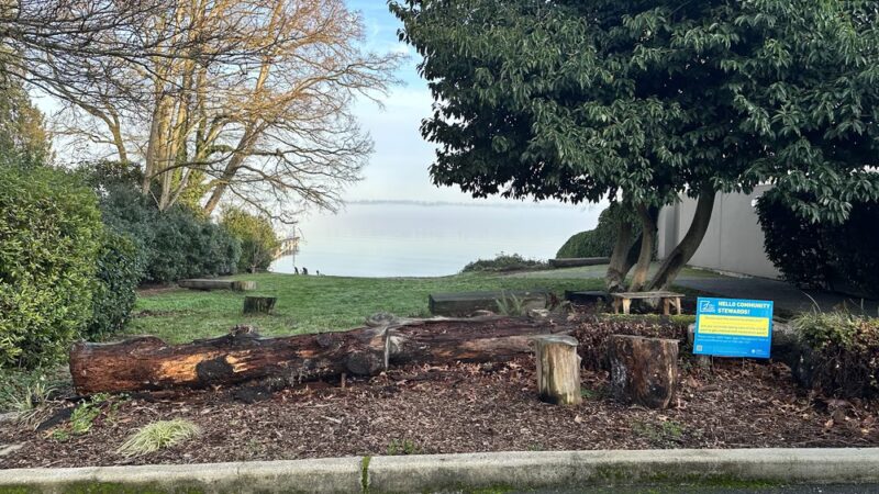 E Highland Dr Shoreline Street End Park - Seattle, WA