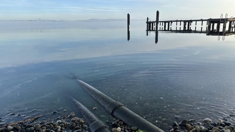 E Highland Dr Shoreline Street End Park - Seattle, WA