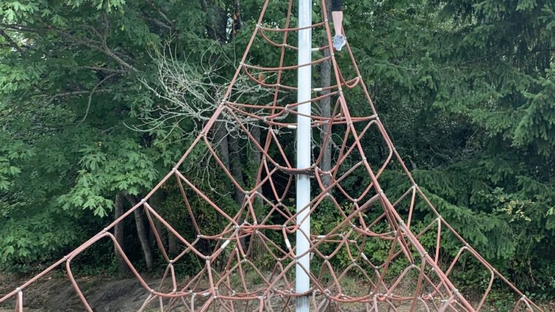 Fairmount Park - Seattle, WA