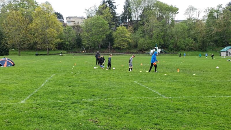 Fairmount Park - Seattle, WA