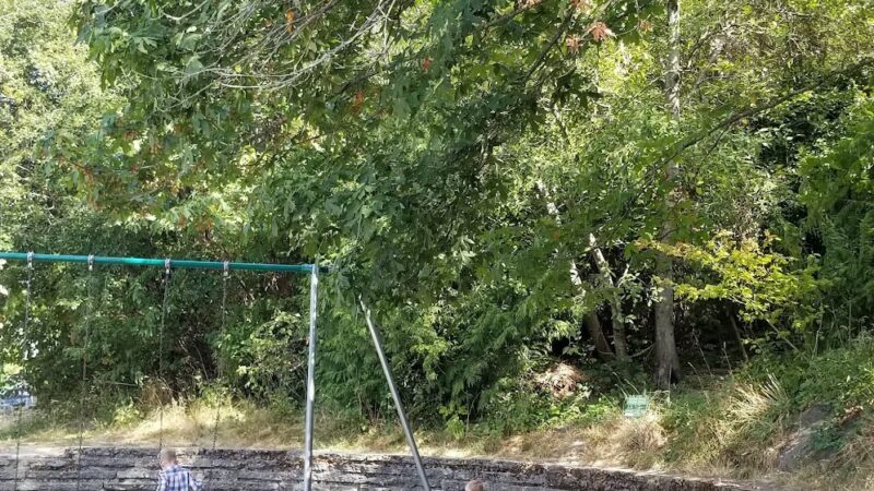 Fairmount Park - Seattle, WA