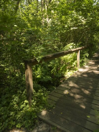 Fauntleroy Park - Seattle, WA