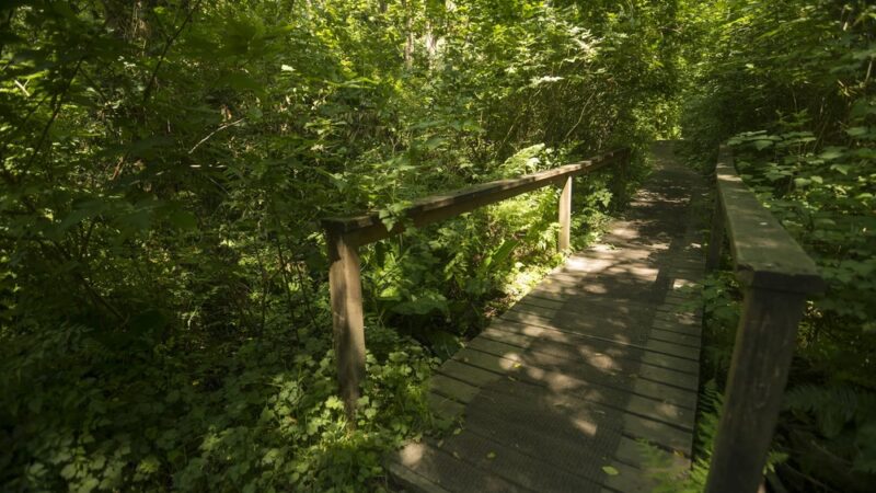 Fauntleroy Park - Seattle, WA