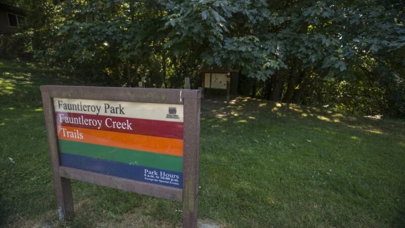 Fauntleroy Park - Seattle, WA