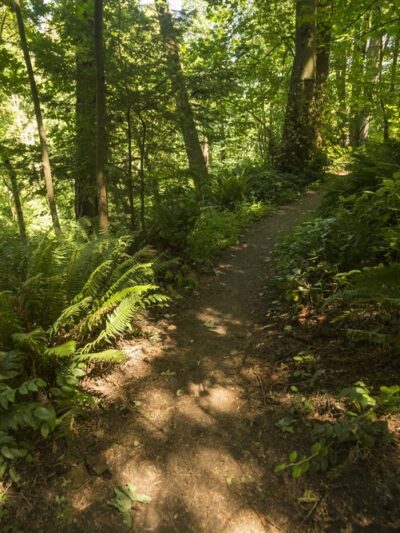 Fauntleroy Park - Seattle, WA