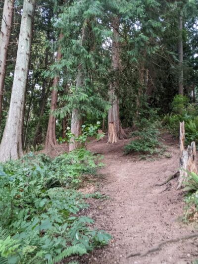 Fauntleroy Park - Seattle, WA