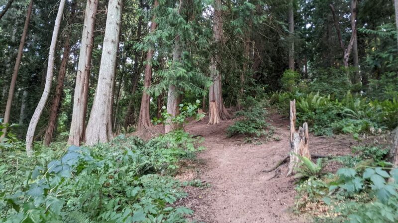 Fauntleroy Park - Seattle, WA