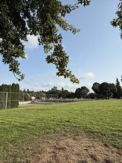 Foster Off-Leash Dog Park - Seattle, WA