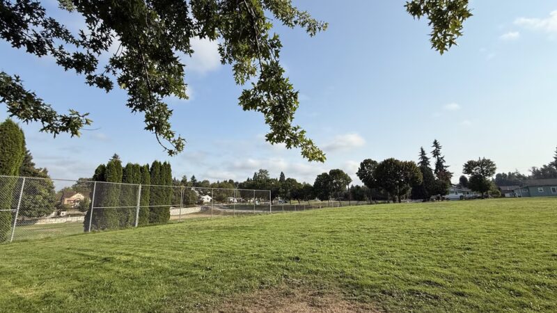 Foster Off-Leash Dog Park - Seattle, WA