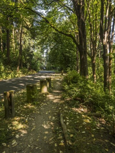 Frink Park - Seattle, WA