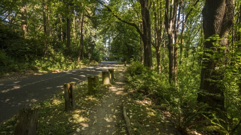 Frink Park - Seattle, WA