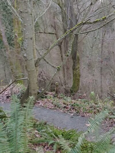 Frink Park - Seattle, WA