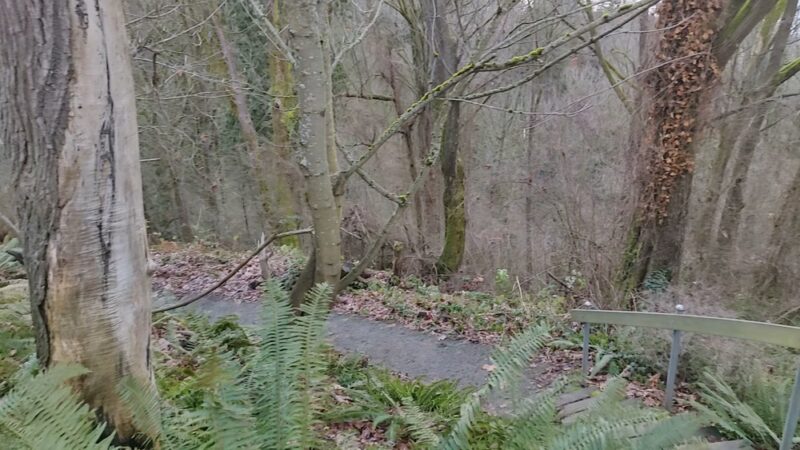 Frink Park - Seattle, WA