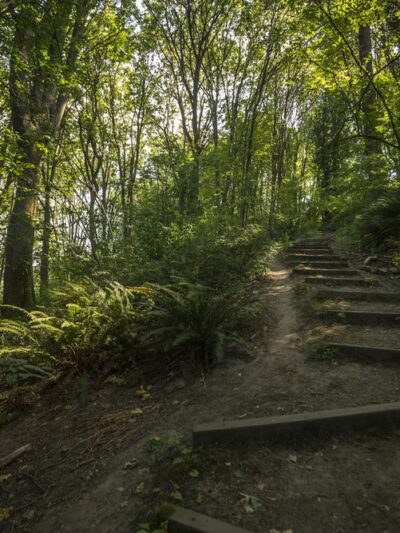 Frink Park - Seattle, WA