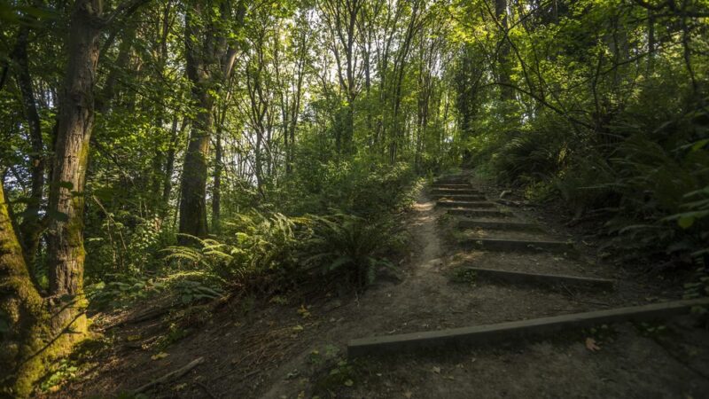 Frink Park - Seattle, WA