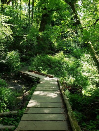 Frink Park - Seattle, WA