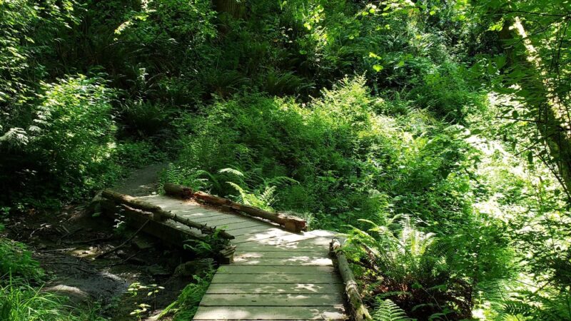 Frink Park - Seattle, WA
