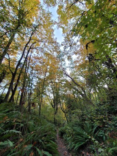 Frink Park - Seattle, WA
