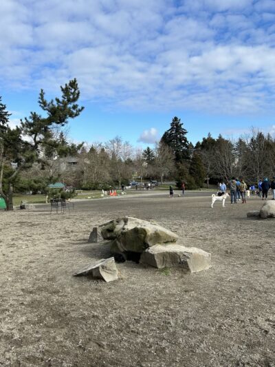 Genesee Dog Park - Seattle, WA