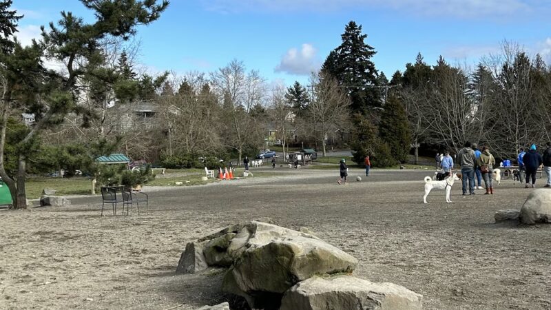 Genesee Dog Park - Seattle, WA