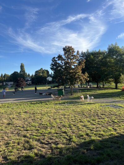 Genesee Dog Park - Seattle, WA