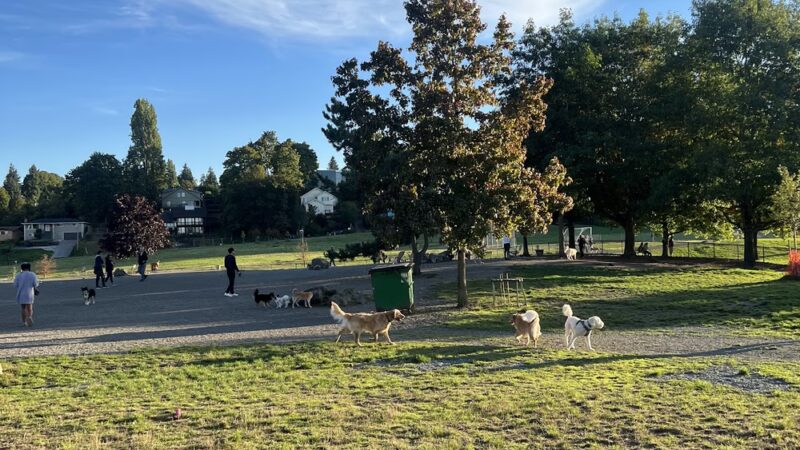 Genesee Dog Park - Seattle, WA
