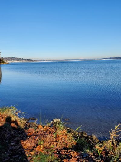 Genesee Park and Playfield - Seattle, WA