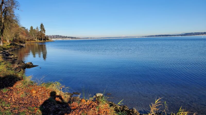 Genesee Park and Playfield - Seattle, WA