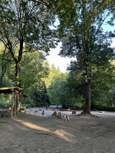 Golden Gardens Off Leash Area - Seattle, WA