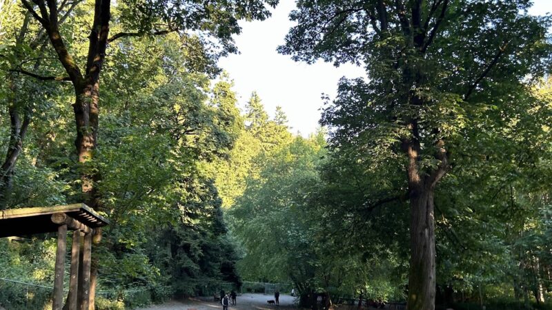 Golden Gardens Off Leash Area - Seattle, WA