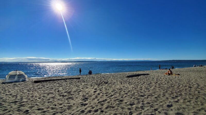 Golden Gardens Off Leash Area - Seattle, WA