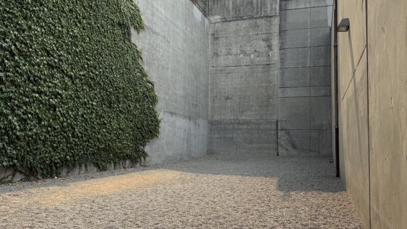 Gravel Dog Park - Seattle, WA