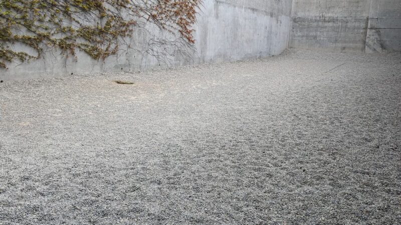 Gravel Dog Park - Seattle, WA