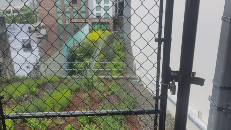 Gravel Dog Park - Seattle, WA