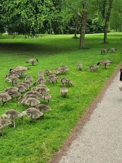 Green Lake Park - Seattle, WA