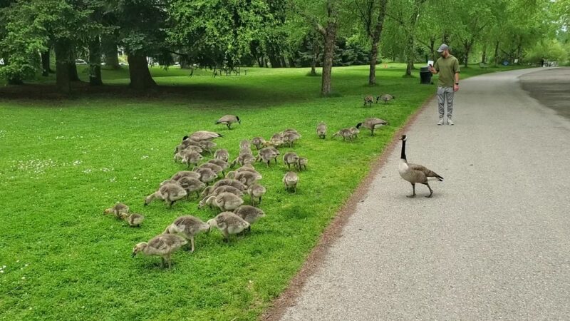 Green Lake Park - Seattle, WA