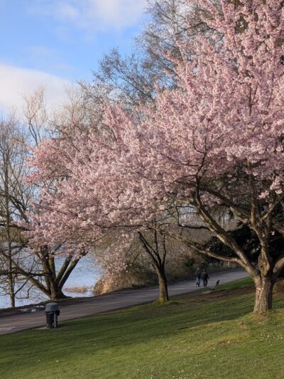 Green Lake Park - Seattle, WA
